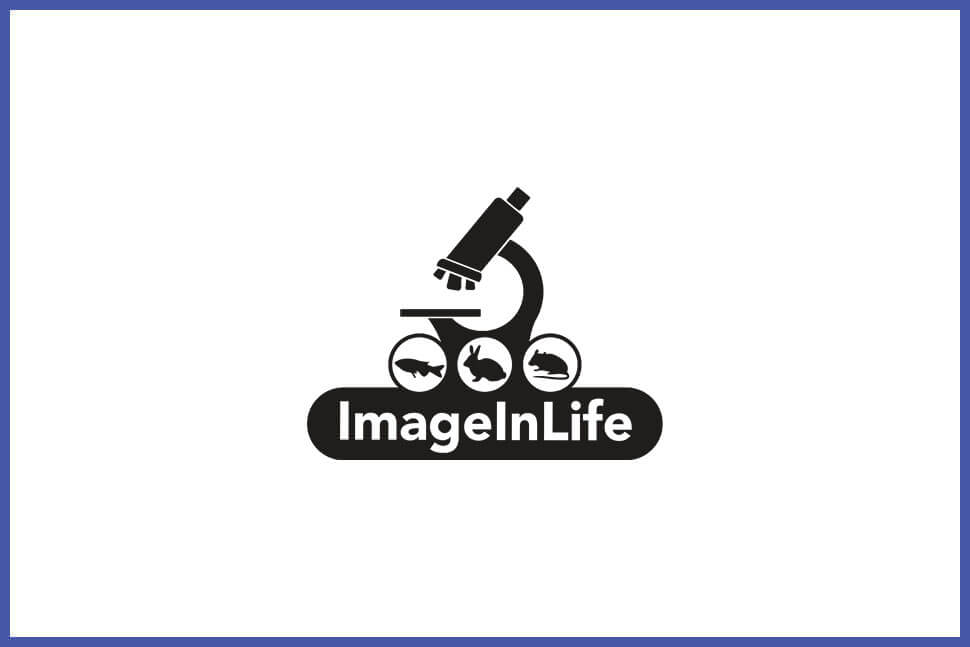 imageinlife-partner